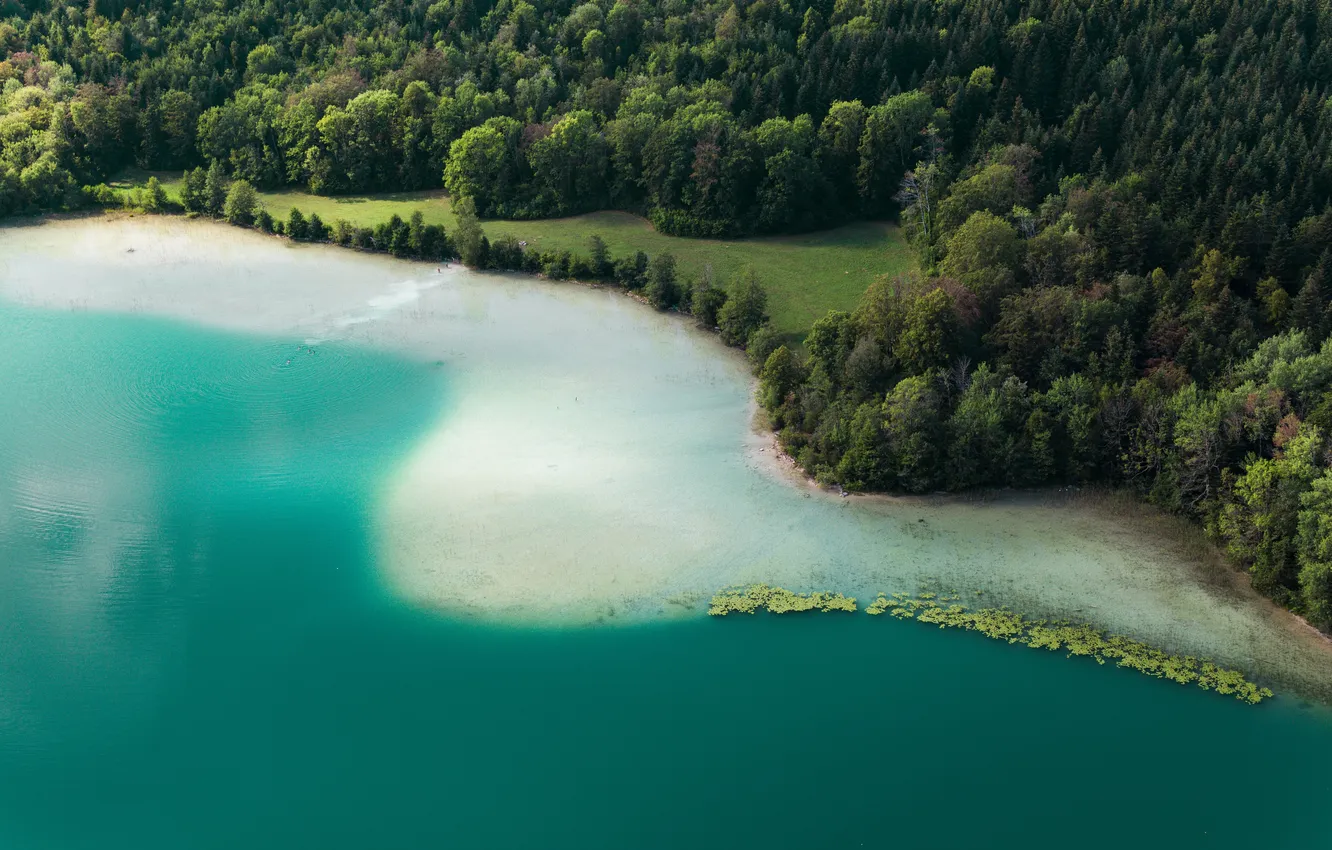 Photo wallpaper sand, sea, forest, shore