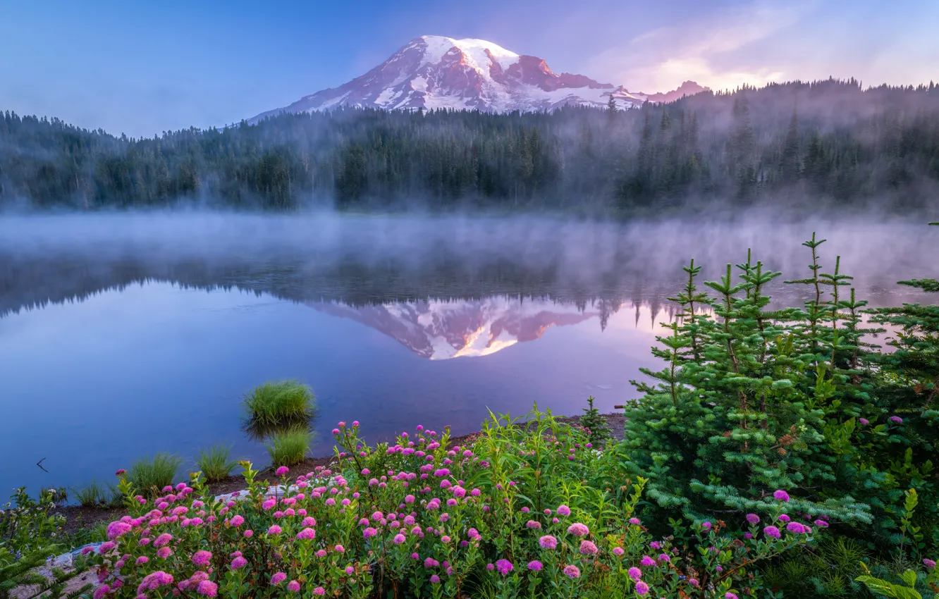 Photo wallpaper forest, flowers, fog, lake, reflection, dawn, mountain, morning