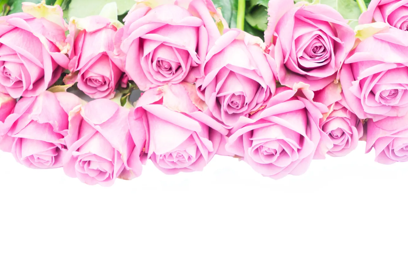 Photo wallpaper roses, bouquet, pink, flowers, roses, pink roses