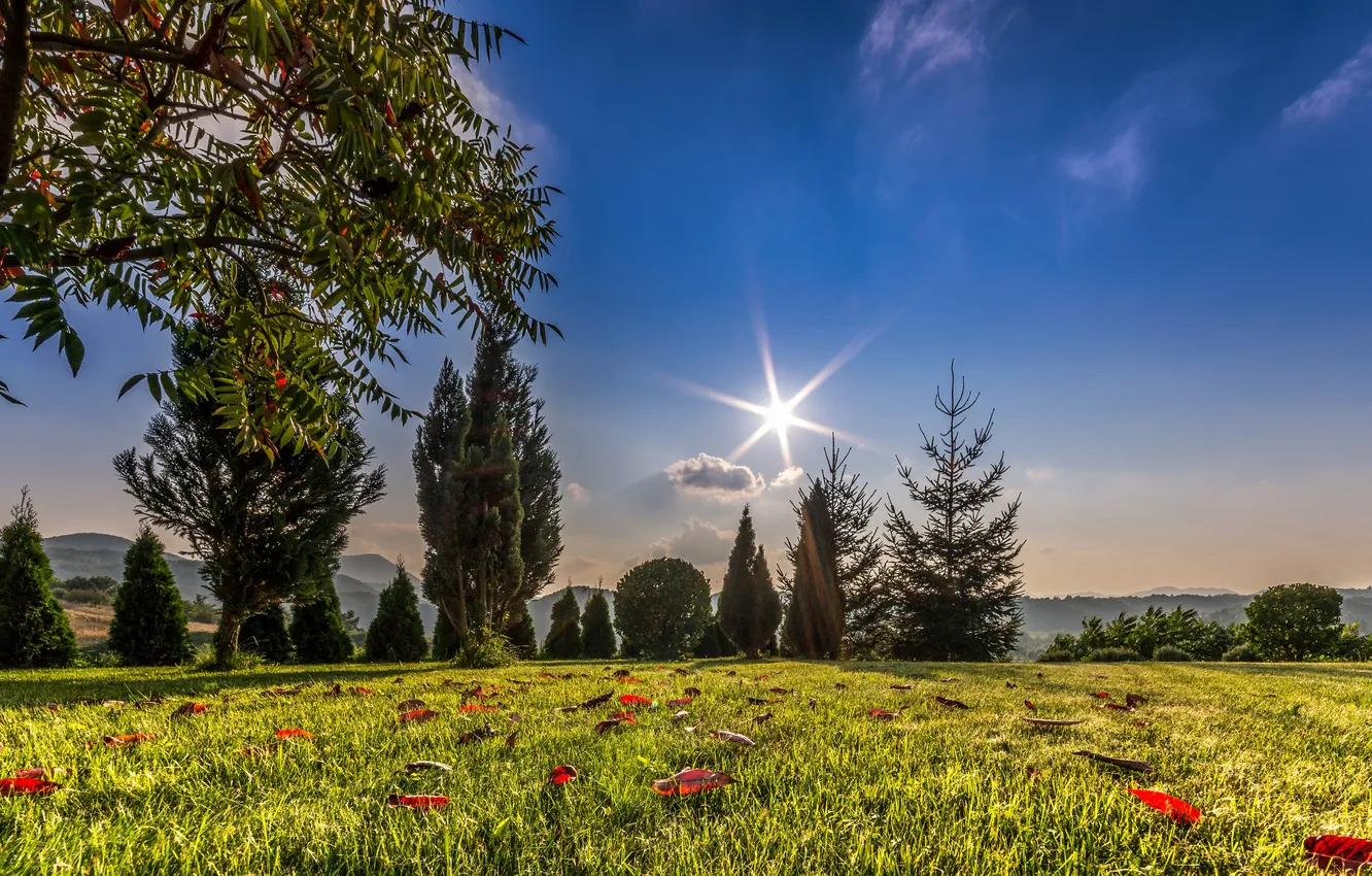 Photo wallpaper the sky, grass, the sun, clouds, trees, mountains, glade, Croatia