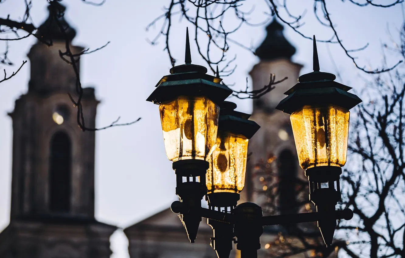 Photo wallpaper winter, glass, trees, branches, the city, building, lights, architecture