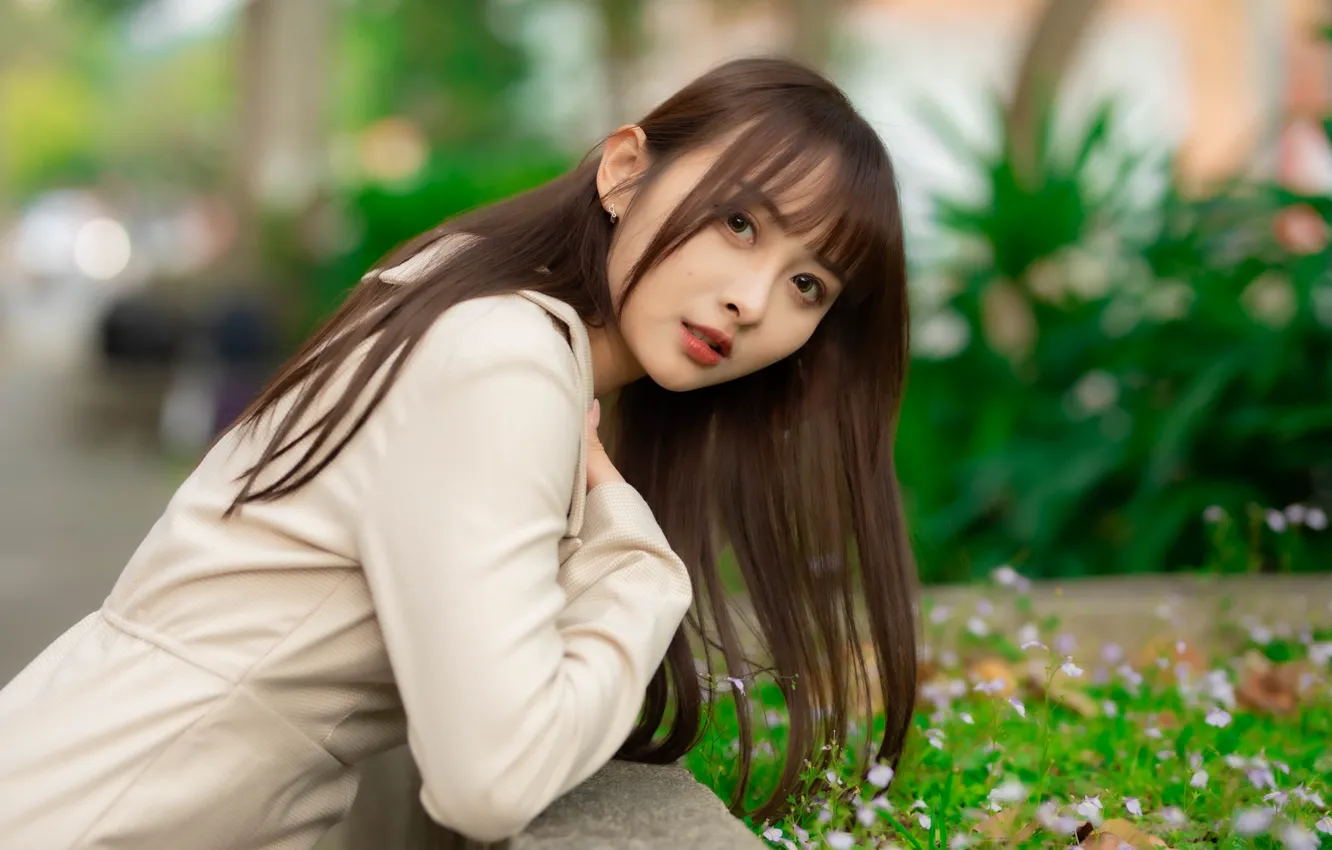 Photo wallpaper look, pose, model, portrait, makeup, hairstyle, brown hair, Asian