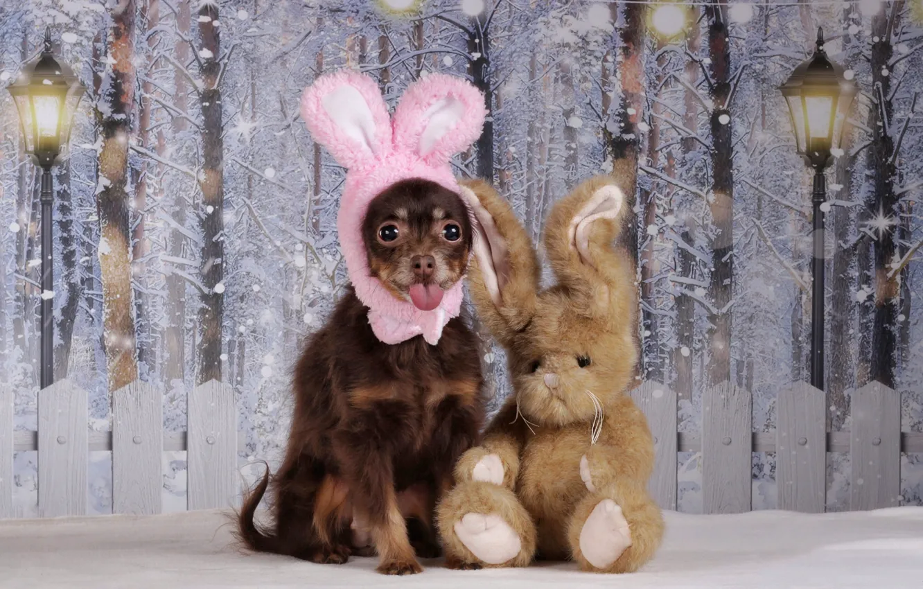 Photo wallpaper winter, forest, language, look, snow, pose, background, toy