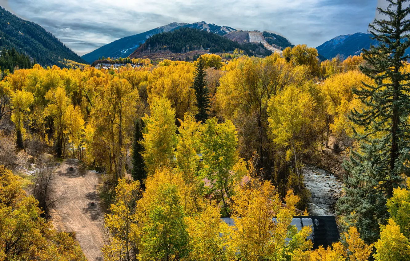 Photo wallpaper autumn, forest, trees, mountains, yellow, USA, Colorado