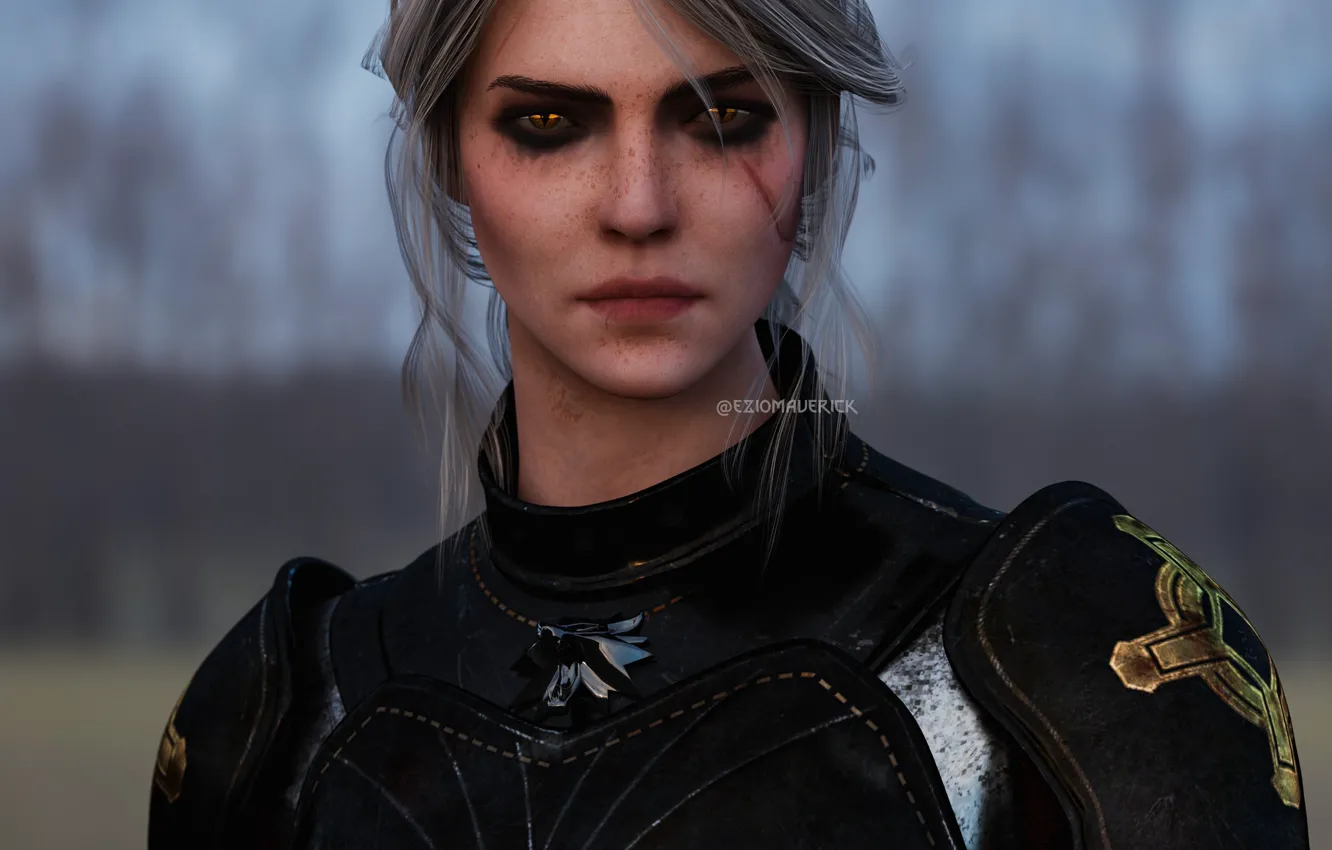 Photo wallpaper The Witcher 3 Wild Hunt, The Witcher 3 Wild Hunt, CRIS, Zirael, Cirilla Fiona Elen …