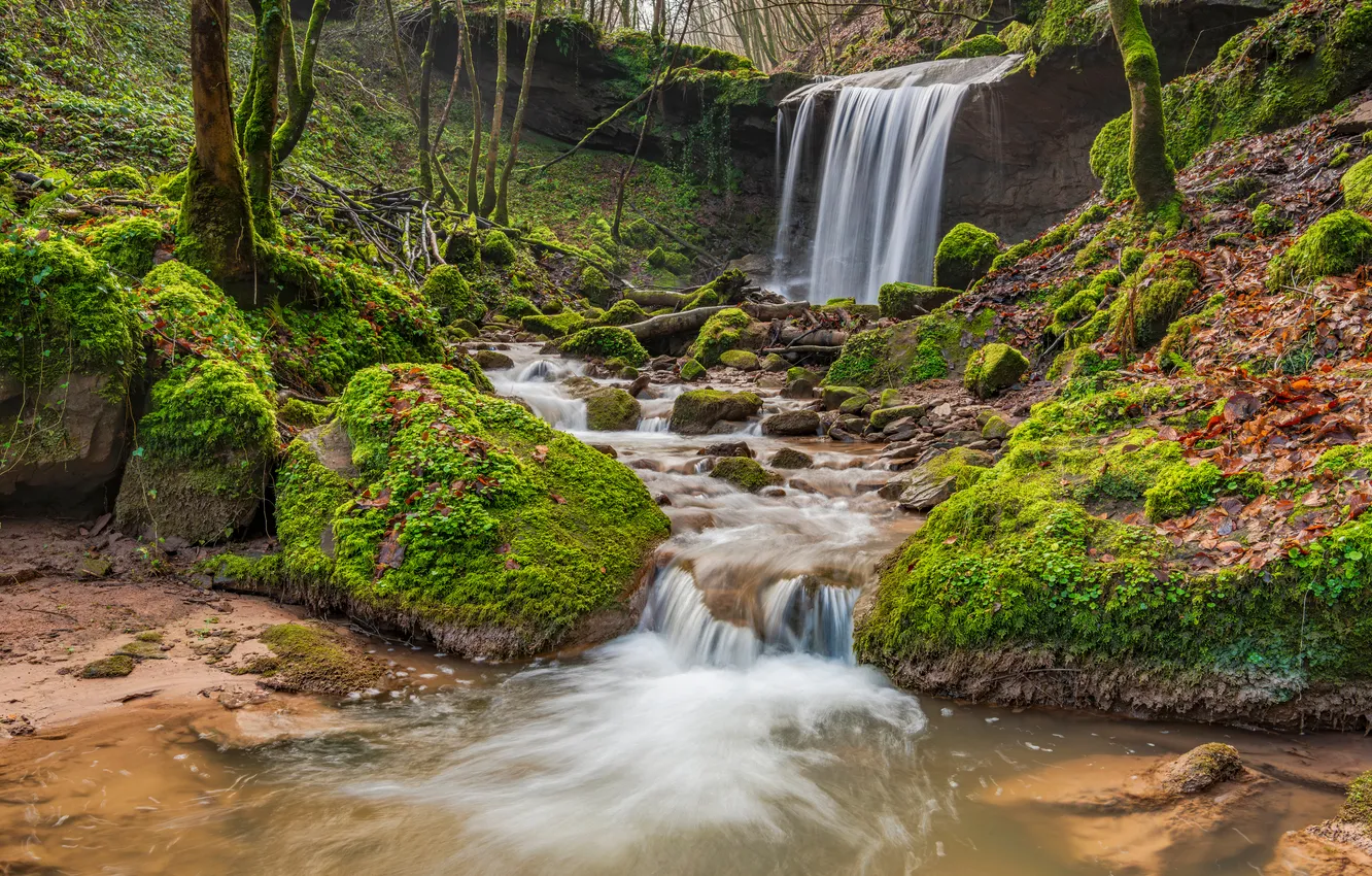 Photo wallpaper forest, stones, waterfall, moss
