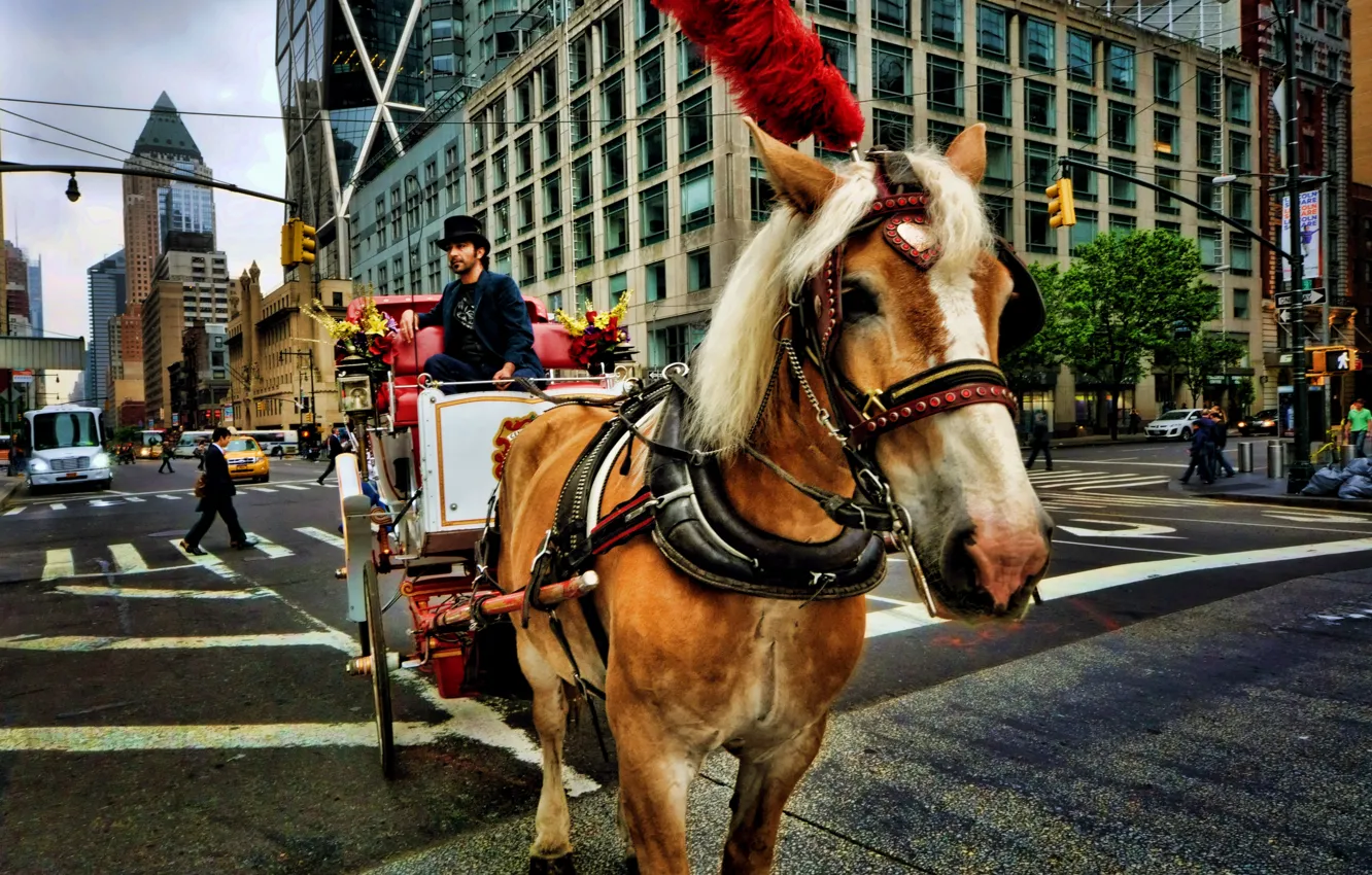 Photo wallpaper street, wagon, New York, street