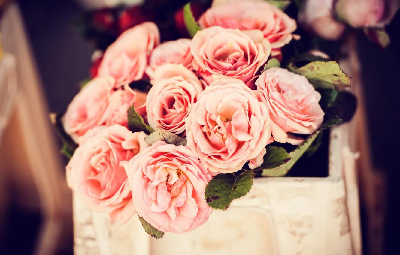 Photo wallpaper flowers, basket, roses, petals, pink, buds