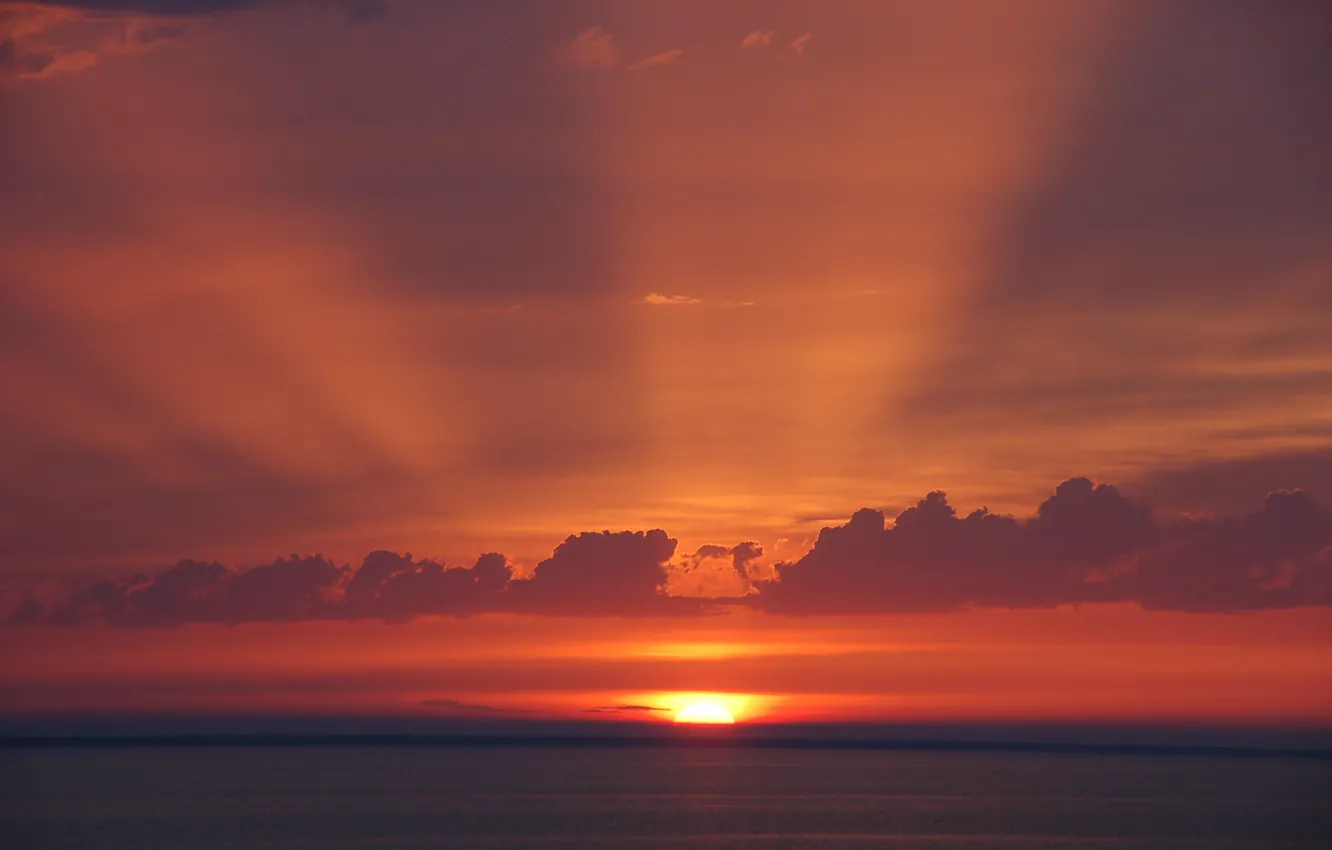 Photo wallpaper rays, sunset, The sun