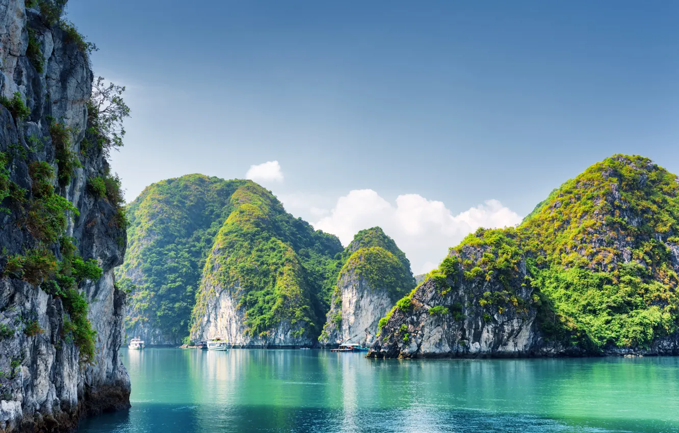 Photo wallpaper sea, nature, rocks, Bay, rock, Vietnam, Halong Bay