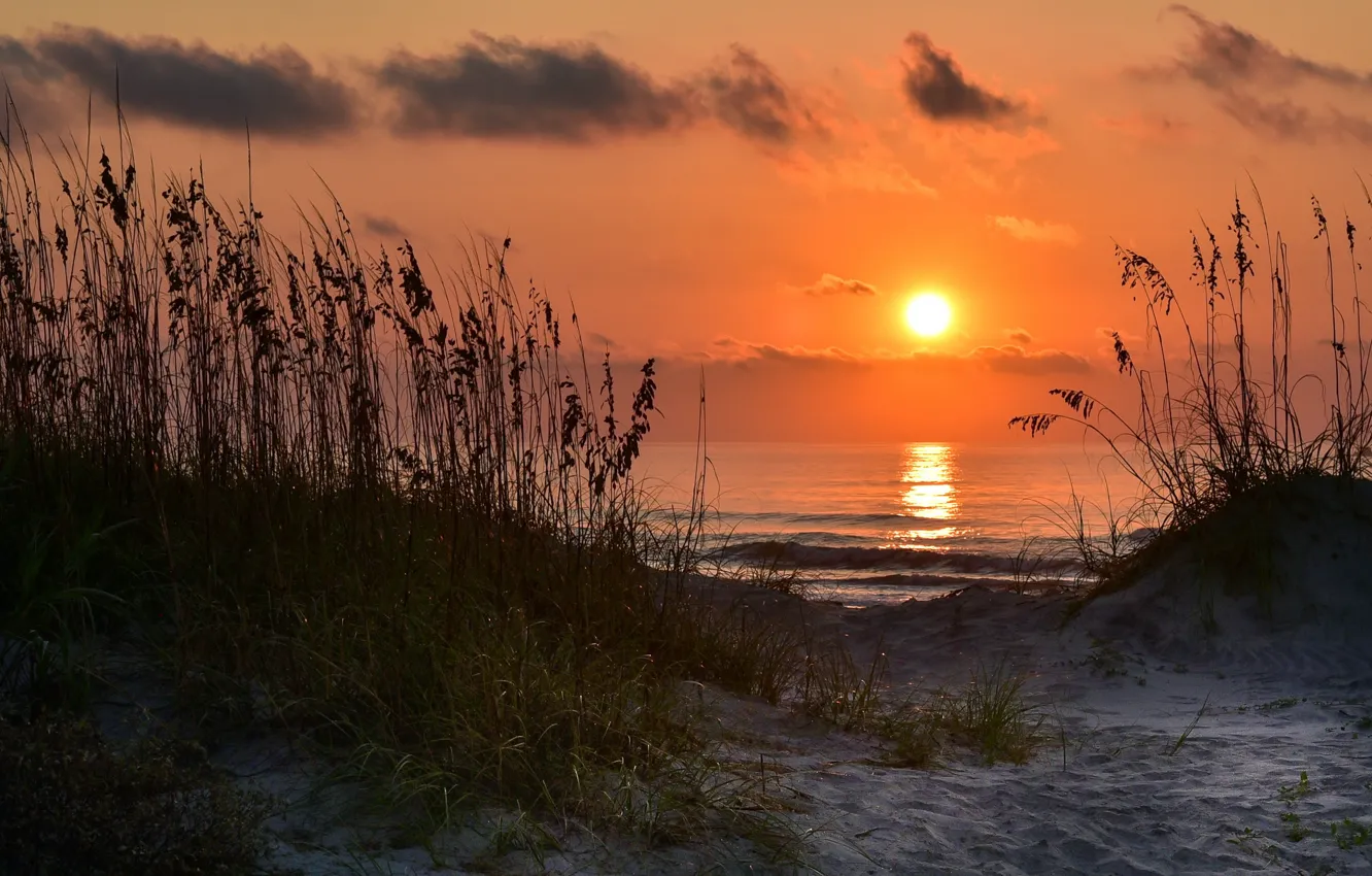 Photo wallpaper sea, sunset, shore