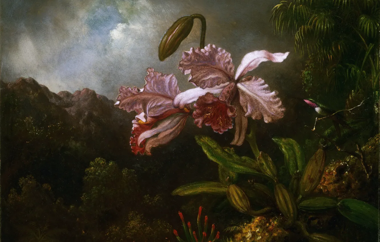 Photo wallpaper picture, painting, Martin Johnson Head, Martin Johnson Heade, Orchids on a background of mountains
