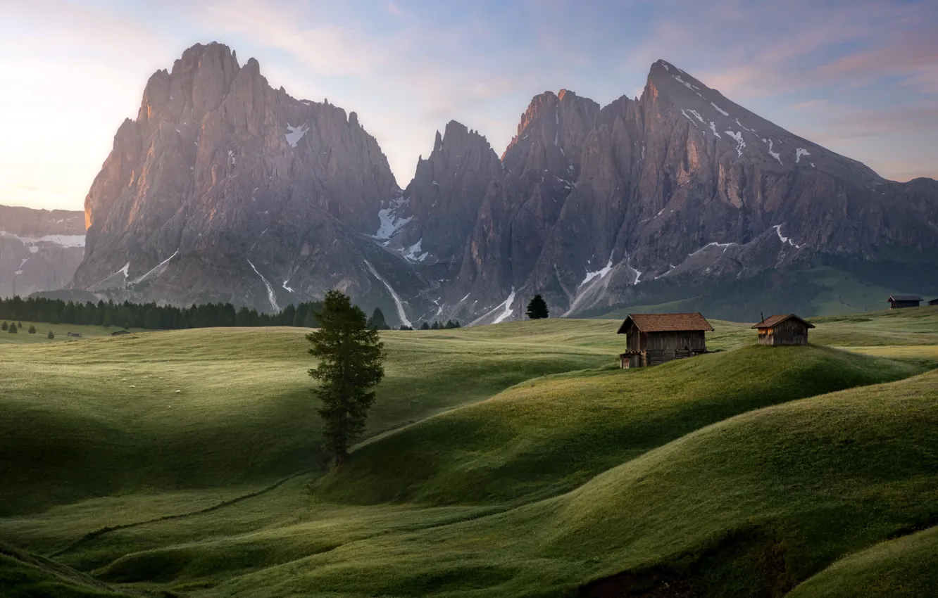 Alpine Meadows