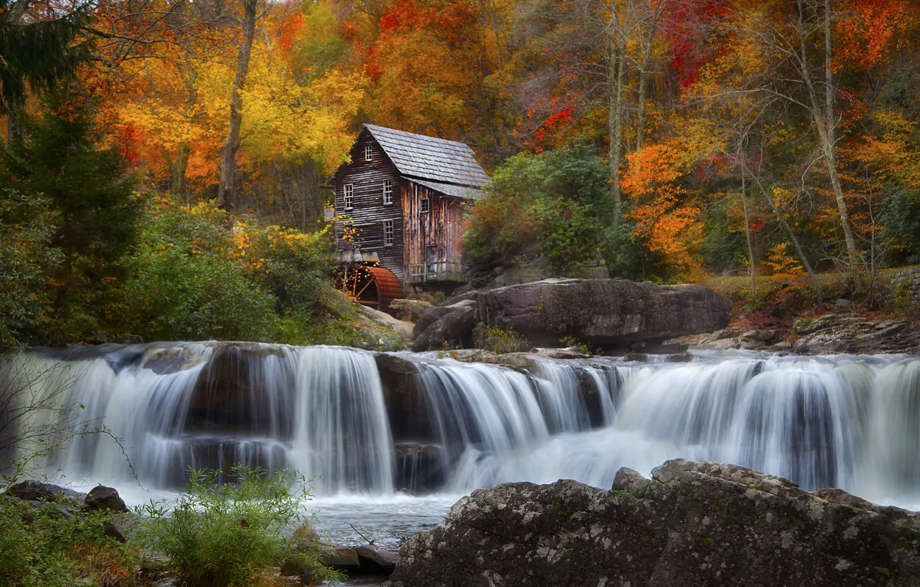 Photo wallpaper autumn, forest, trees, house, river, wheel, mill