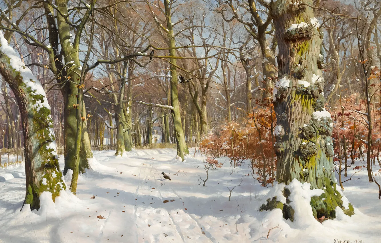 Photo wallpaper winter, light, snow, trees, landscape, birds, traces, Park