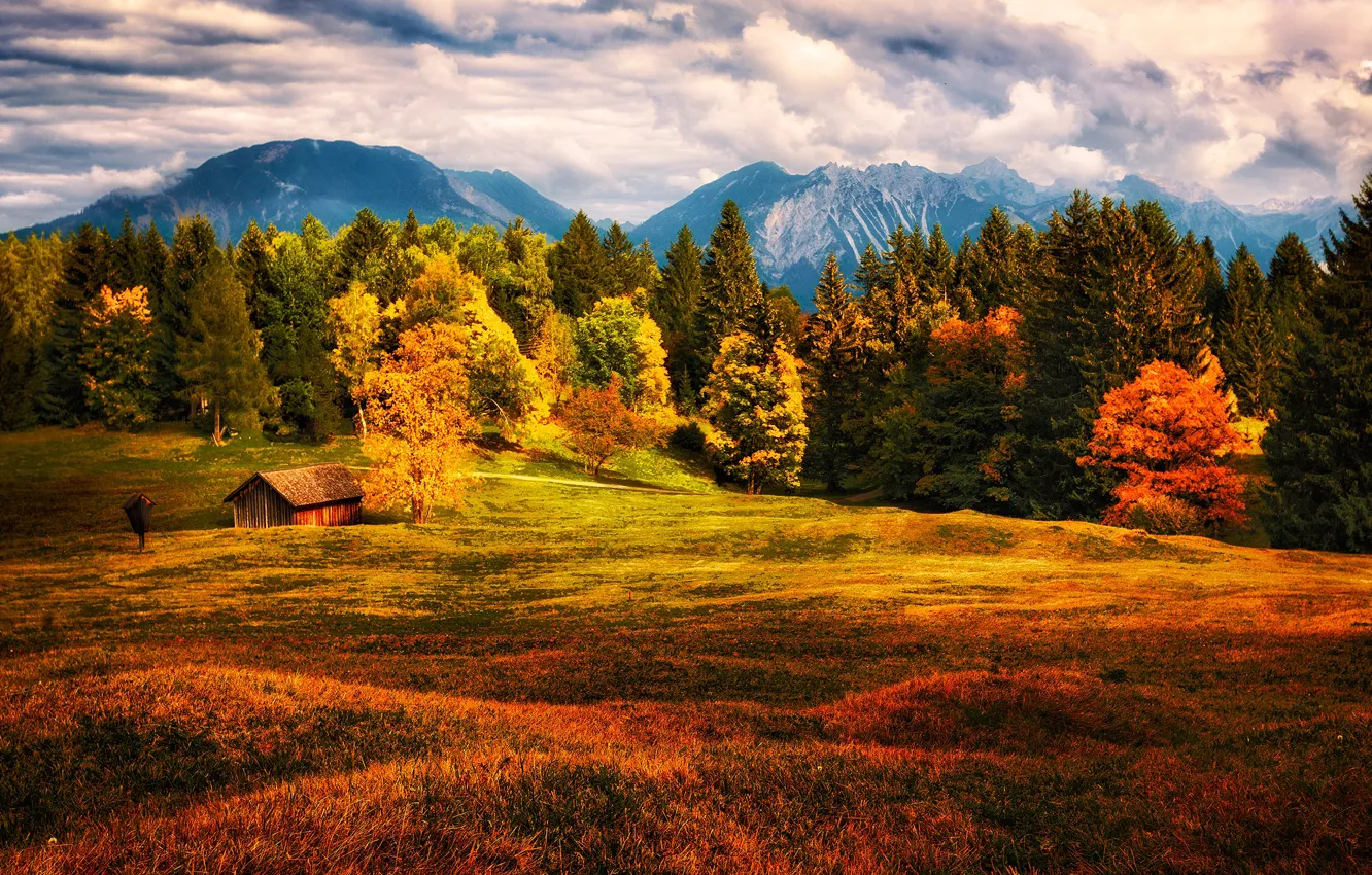 Photo wallpaper field, autumn, forest, grass, bright colors, clouds, trees, mountains