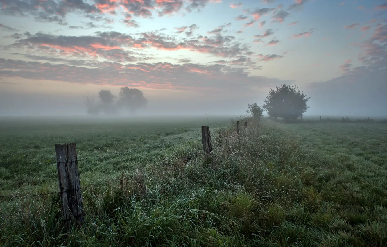 Photo wallpaper field, autumn, fog, the fence