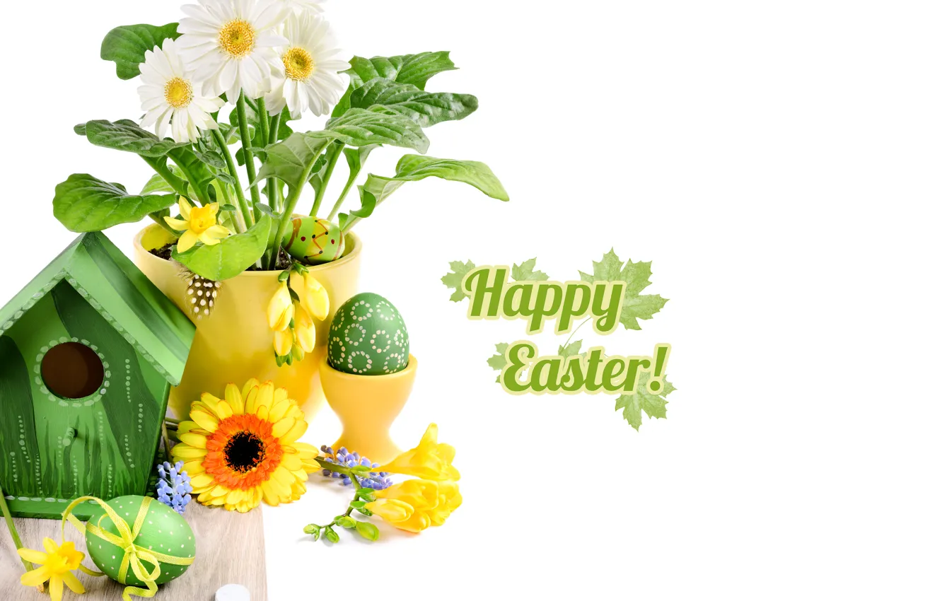 Photo wallpaper photo, Easter, Eggs, Holiday, Gerbera