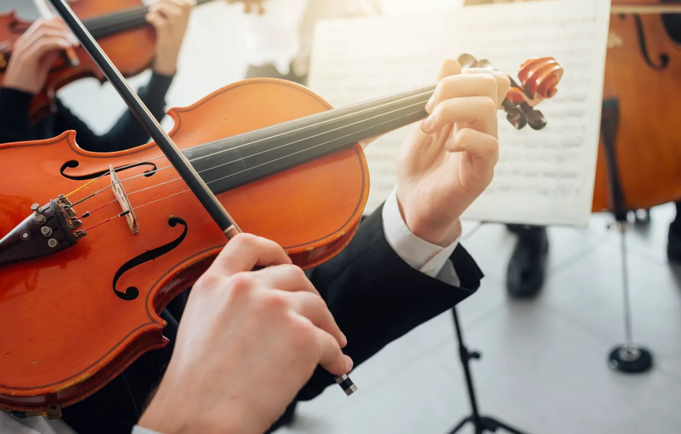 Photo wallpaper violin, concert, violinist