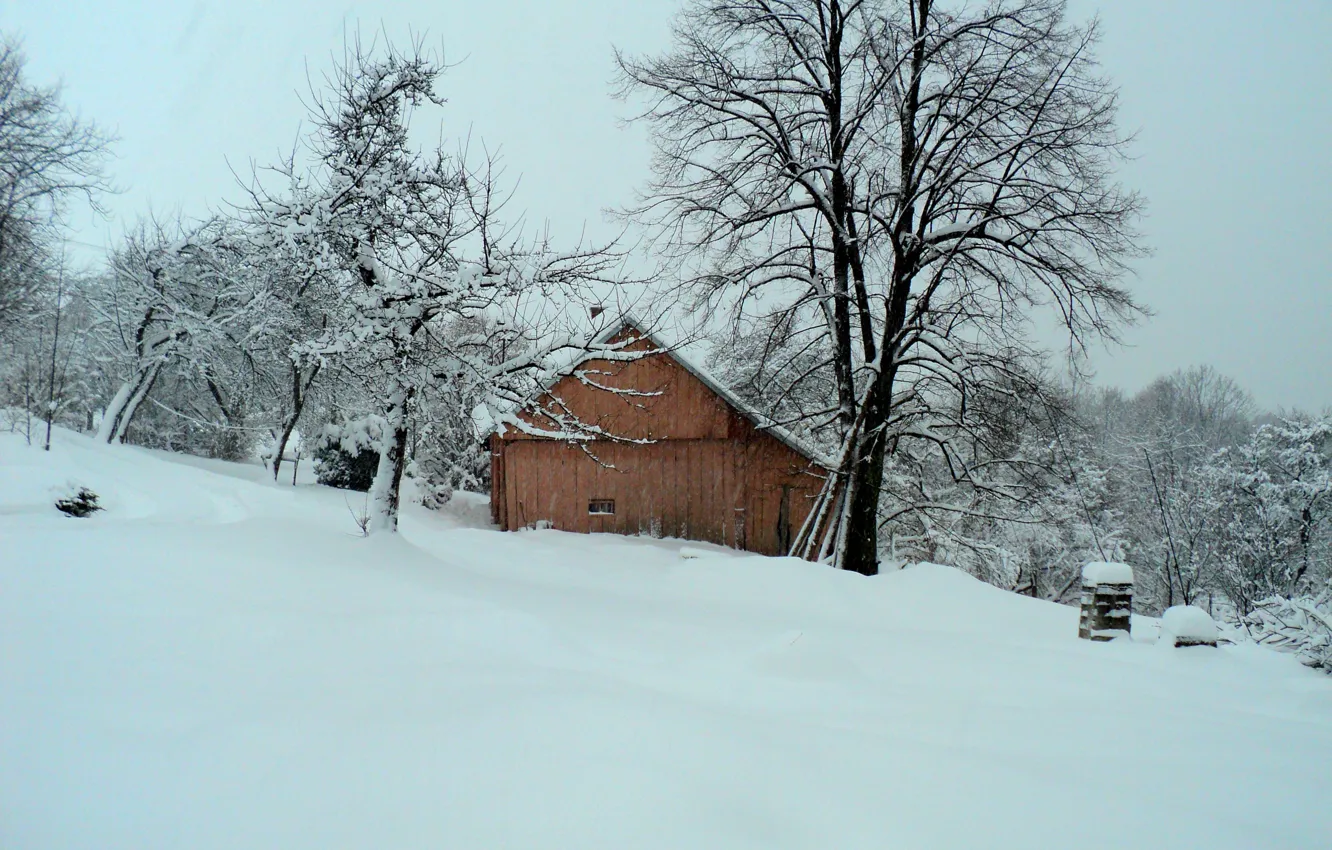 Photo wallpaper winter, snow, frost, house, house, winter, snow, frost