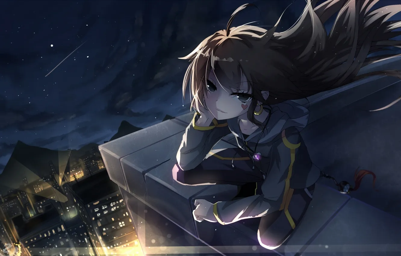 Photo wallpaper roof, the sky, girl, stars, night, the city, lights, building