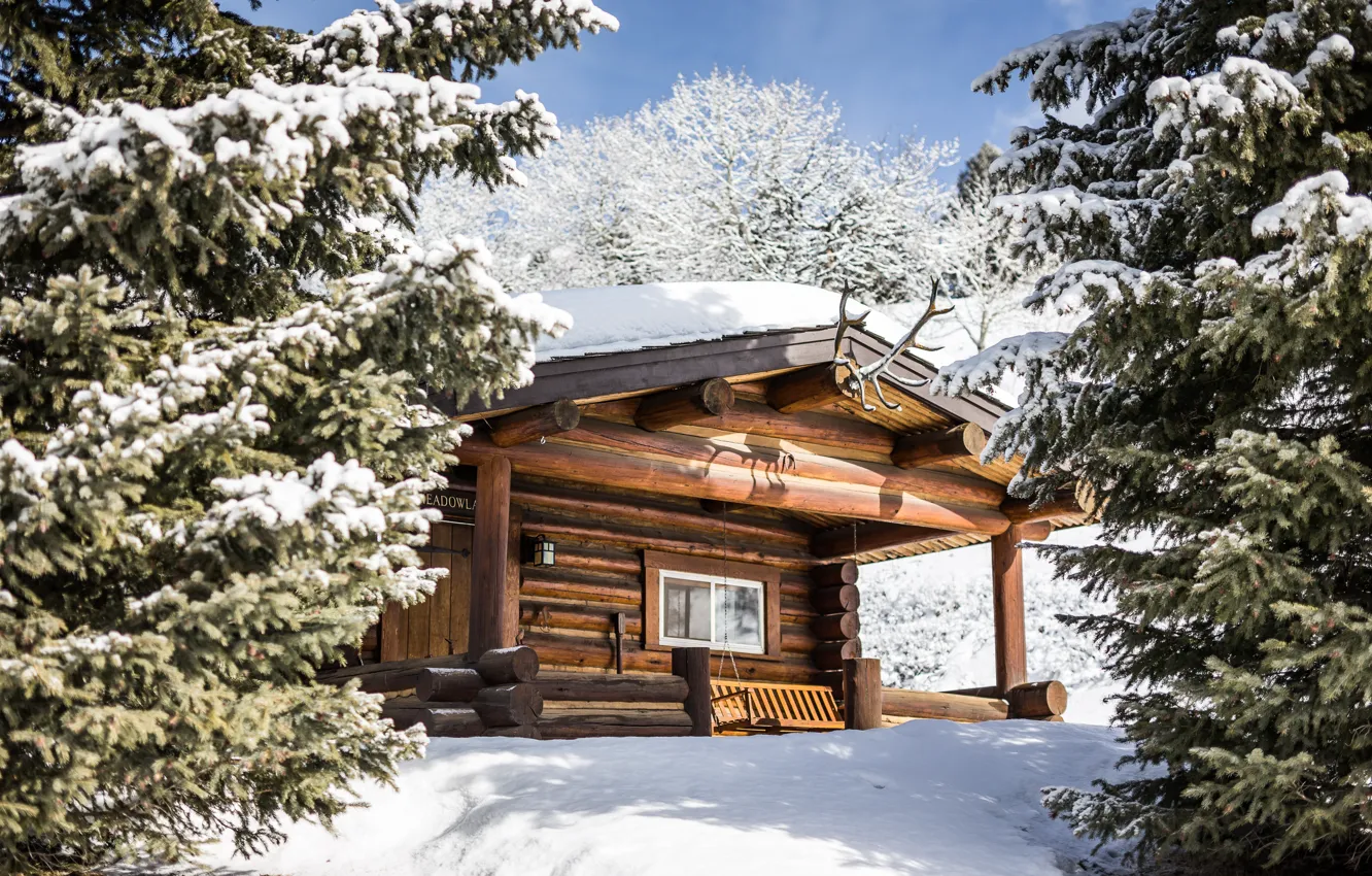Photo wallpaper winter, snow, trees, home, Montana, Montana, Winter cabin, Winter Hut