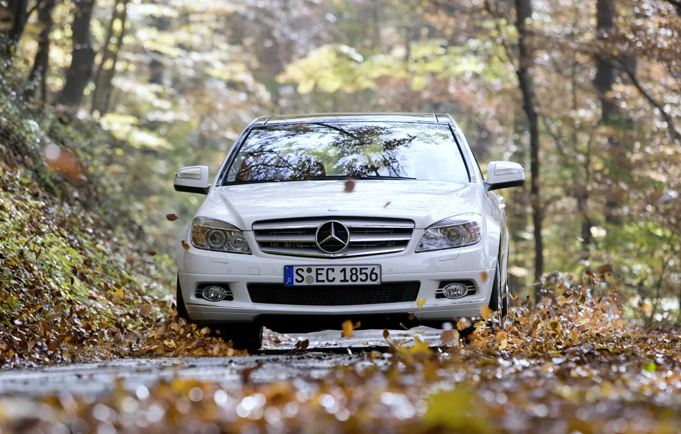 Photo wallpaper road, foliage, c350, mercedes-benz