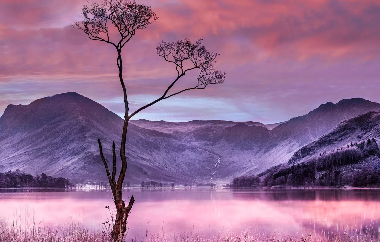 Photo wallpaper the sky, clouds, mountains, lake, tree