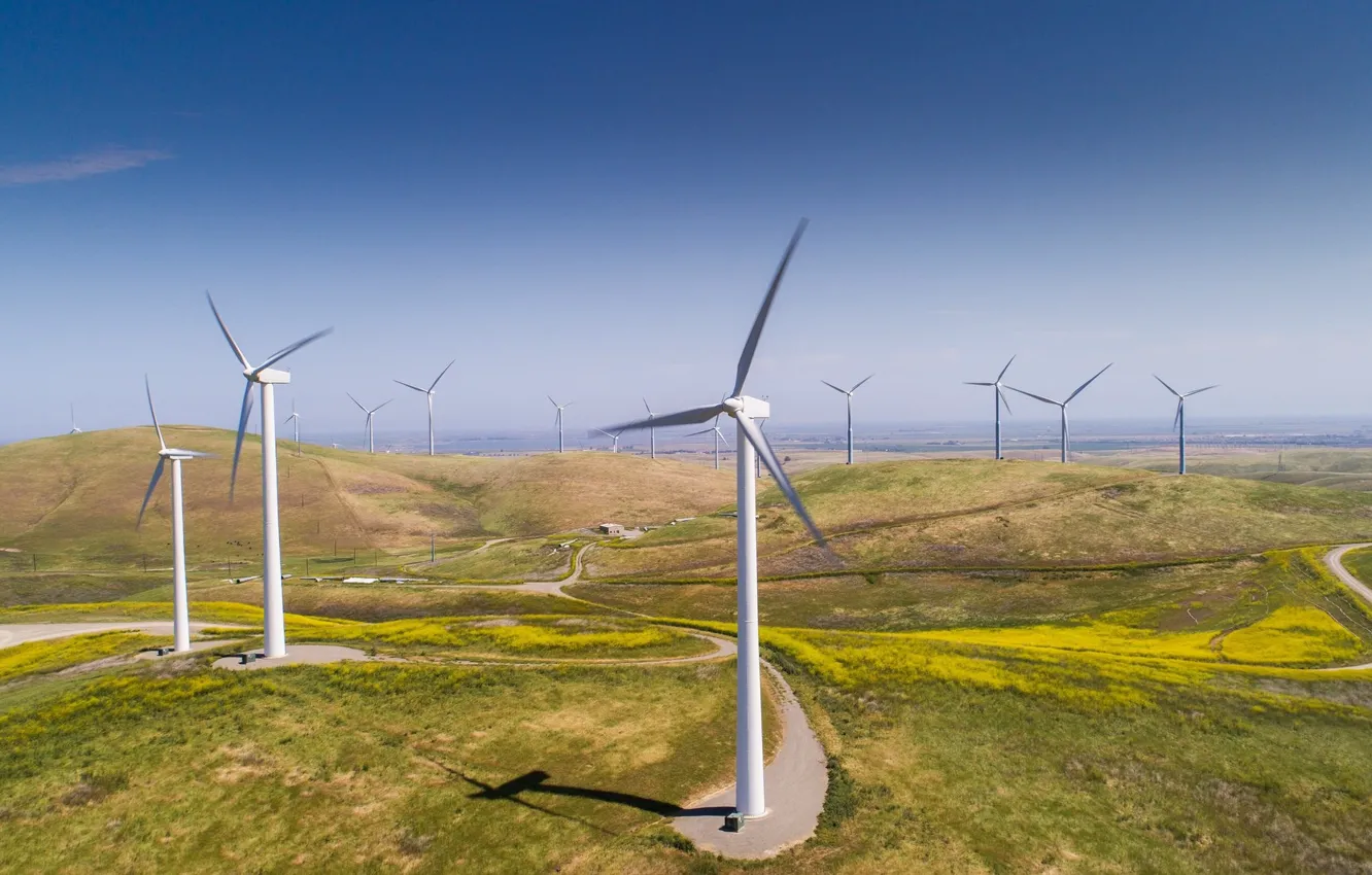 Photo wallpaper field, screw, betawiki