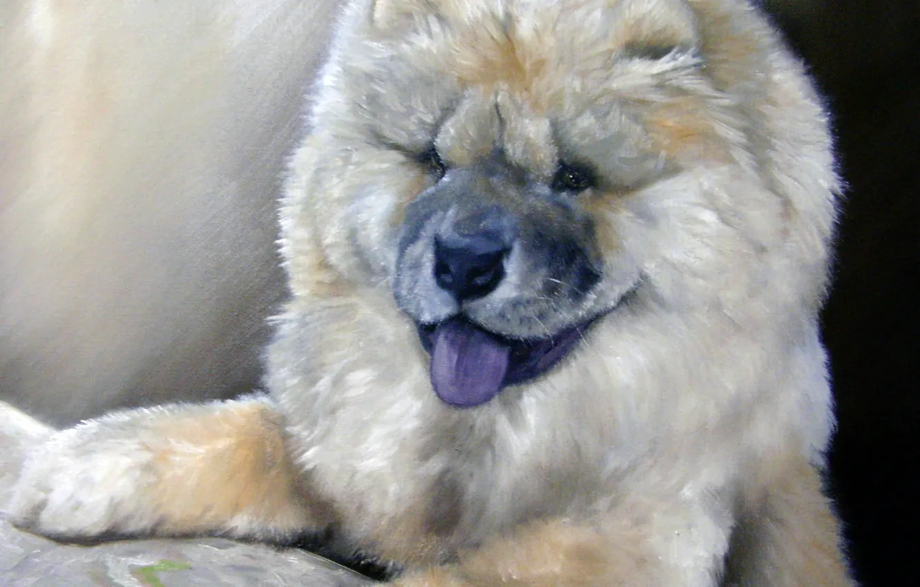 Photo wallpaper look, pose, oil, portrait, dog, painting, face, canvas