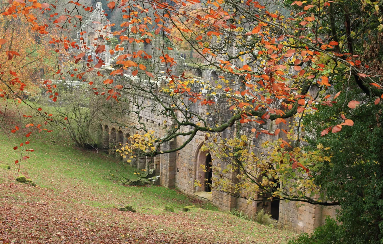 Photo wallpaper Autumn, Ruins, Fall, Foliage, Autumn, Trees, Ruins