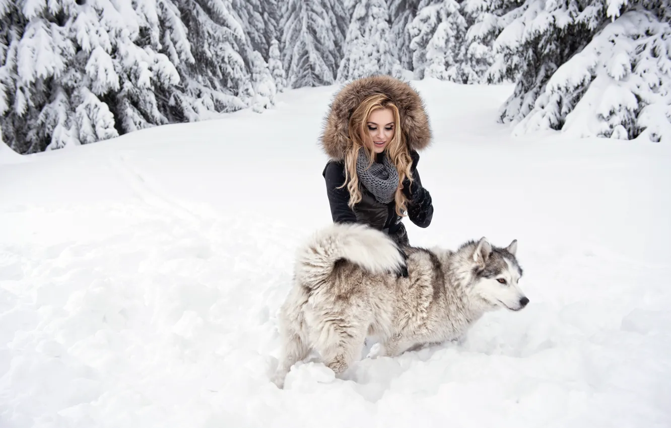 Photo wallpaper forest, look, girl, snow, dog, blonde, husky