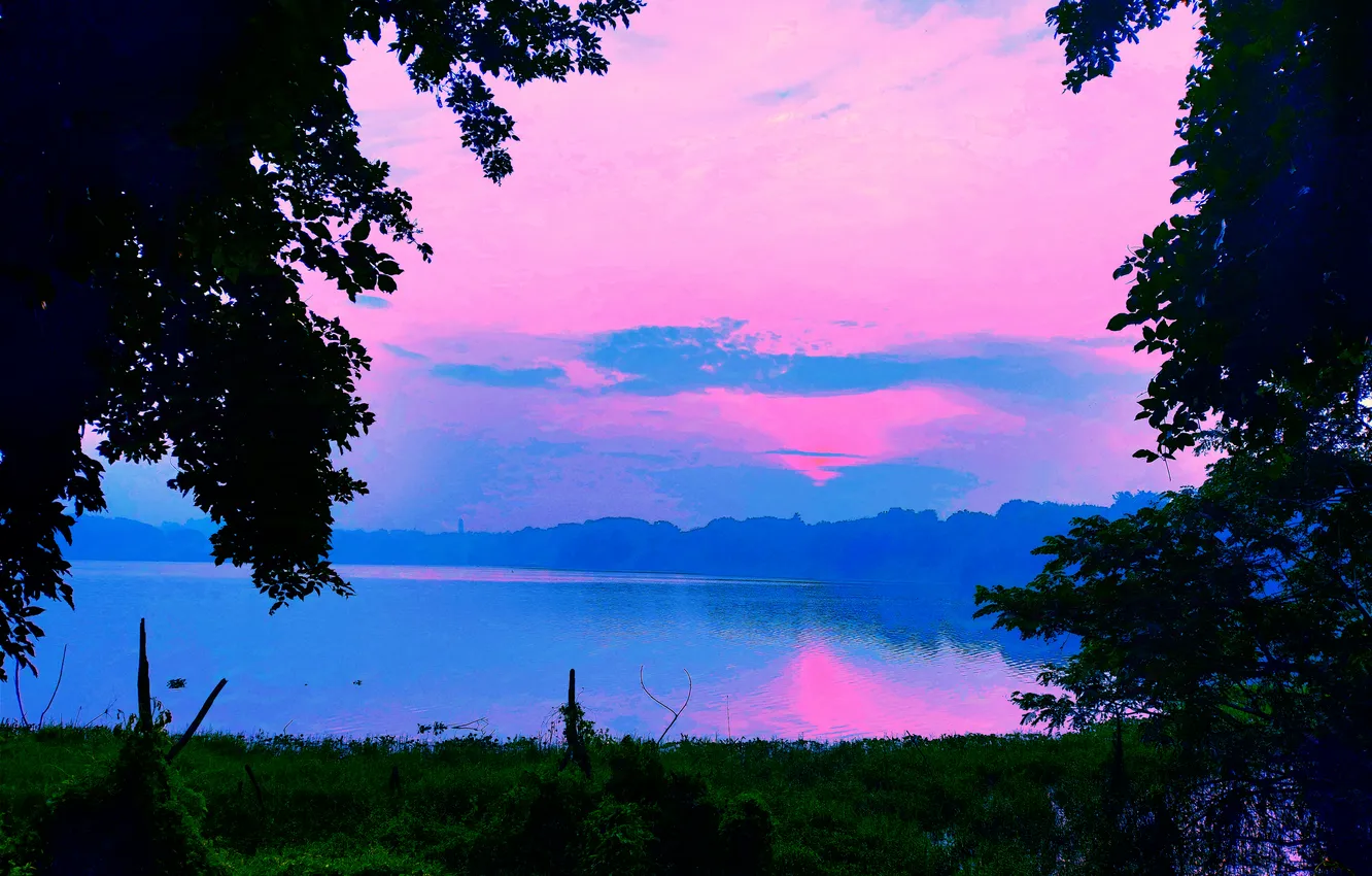Photo wallpaper Clouds, Sky, Grass, Water, Sunrise, Dawn, Morning, Lake
