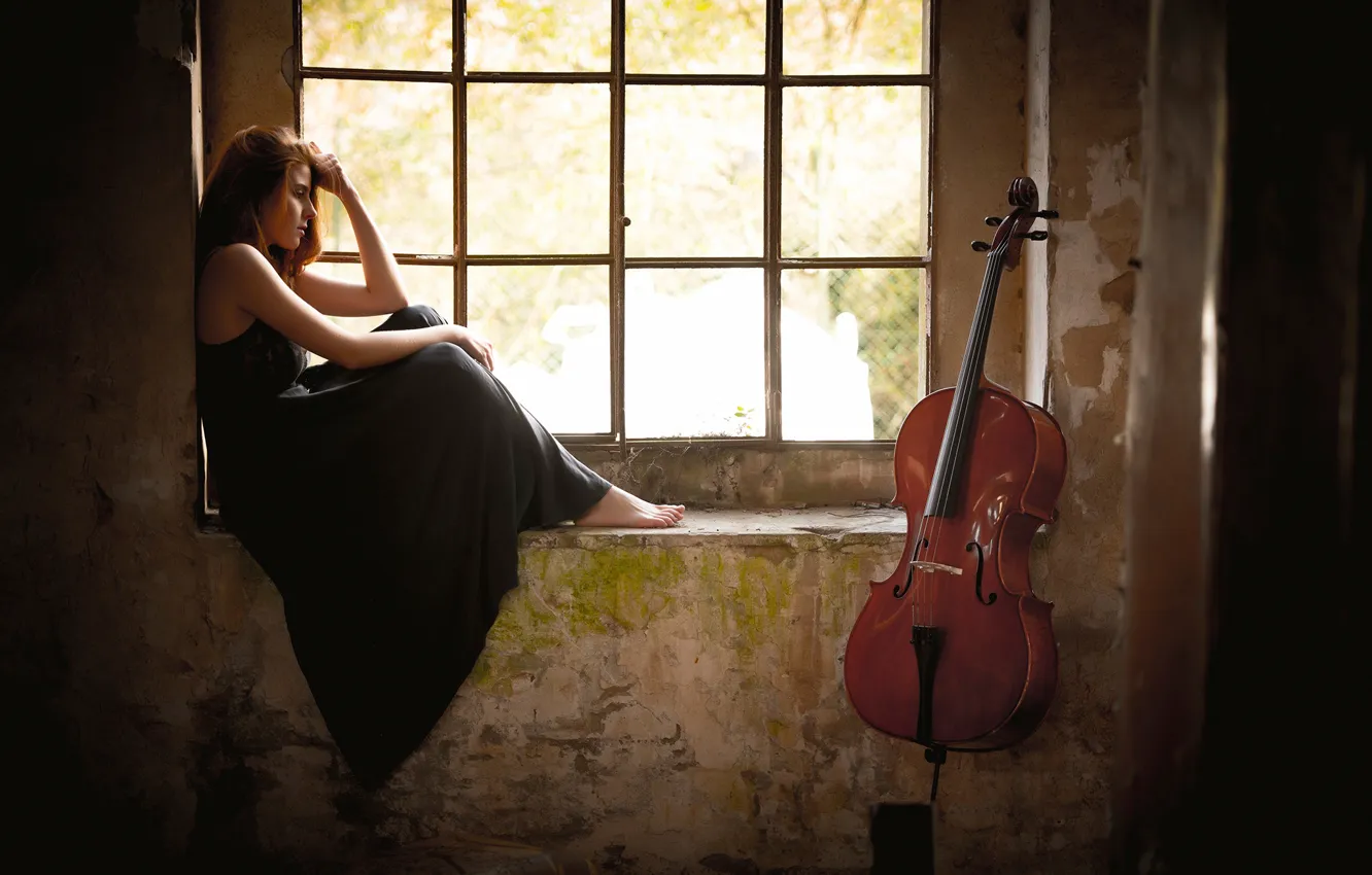 Photo wallpaper girl, window, cello, Giada Back