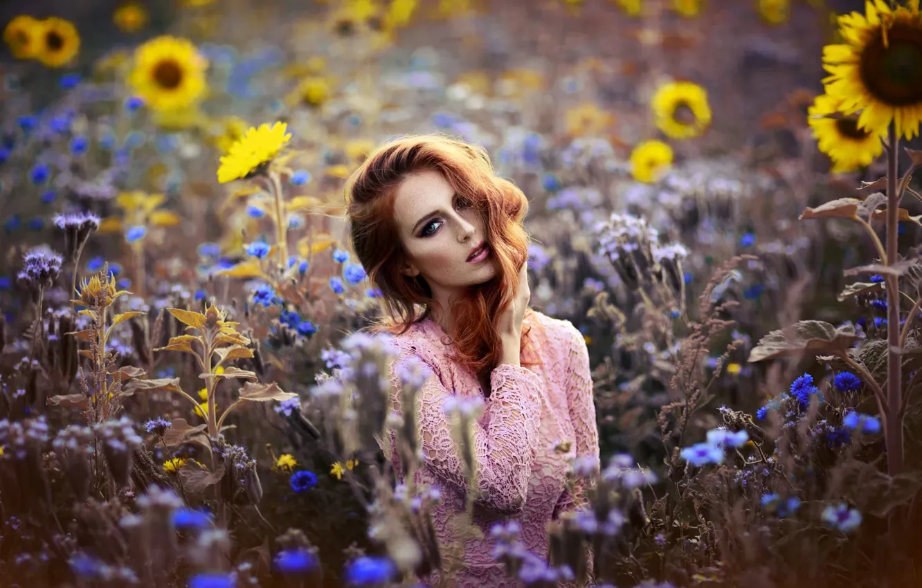 Photo wallpaper look, girl, sunflowers, red, flowers, Melanie Dietze
