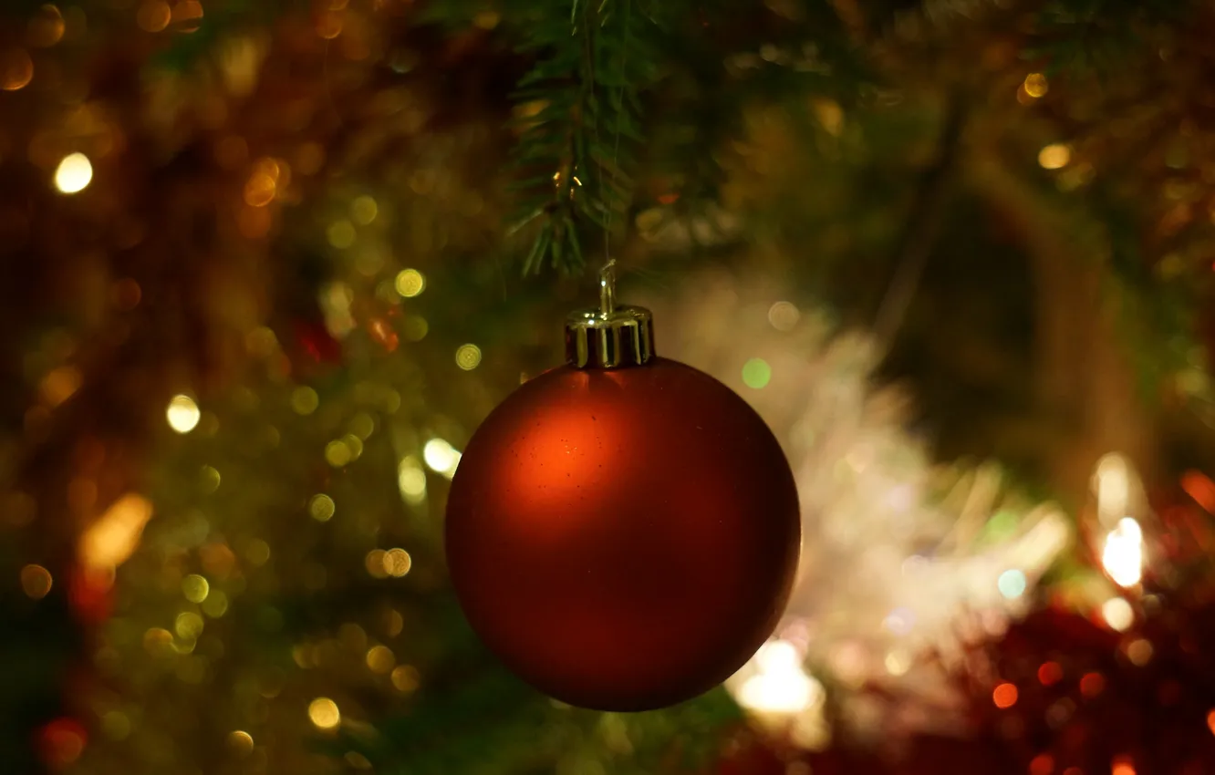 Photo wallpaper light, night, tree, branch