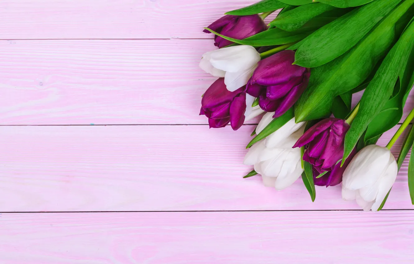 Photo wallpaper flowers, bouquet, tulips, white, wood, flowers, tulips, purple