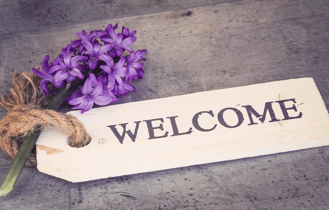 Photo wallpaper purple, flowers, retro, sprig, grey, background, the inscription, plate