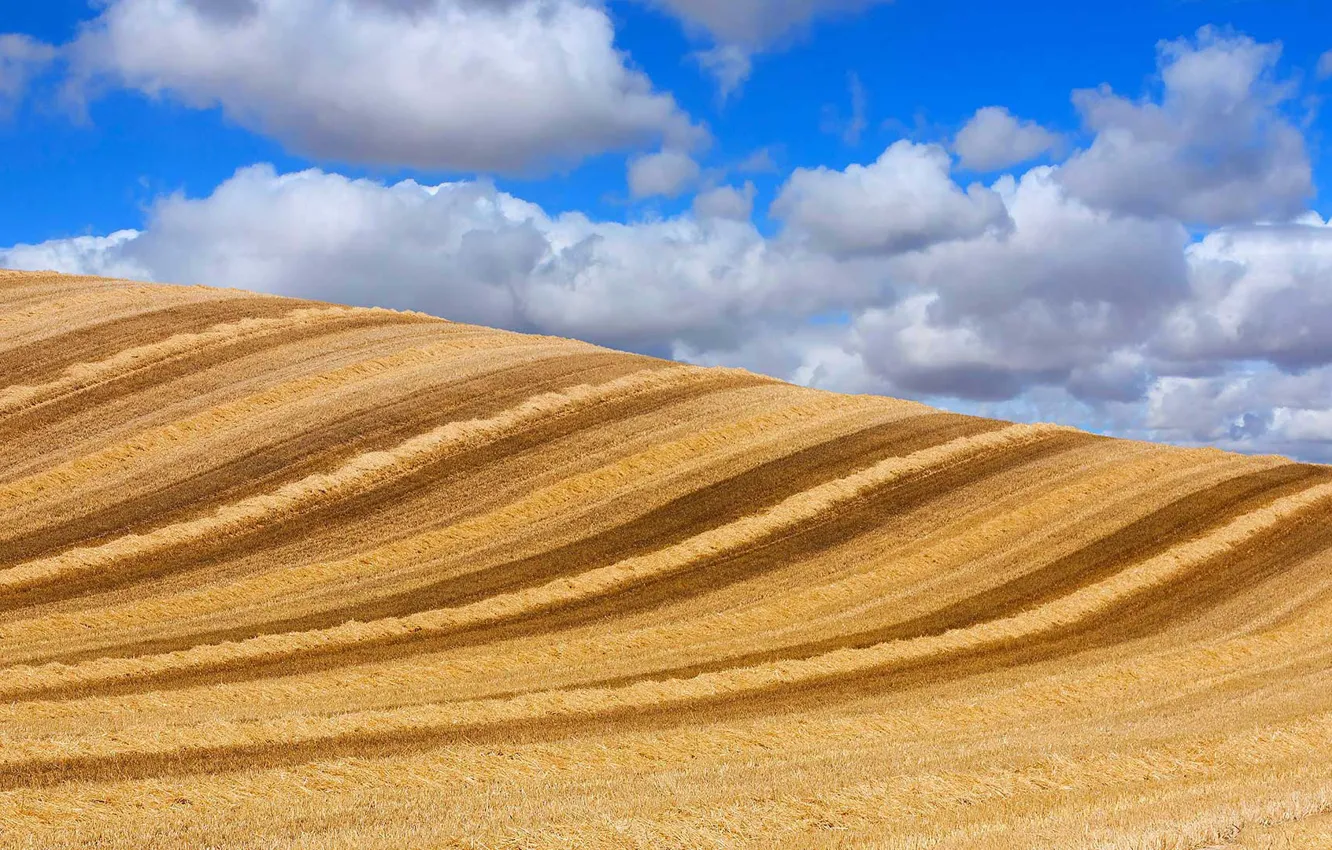 Photo wallpaper field, the sky, clouds, hills, Spain, Castile and Leon