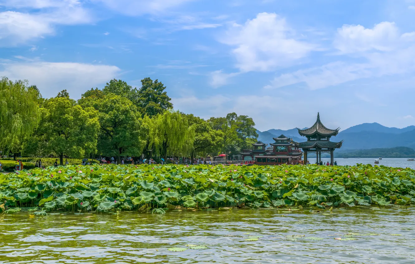 Photo wallpaper landscape, nature, lake, Lotus, China, gazebo