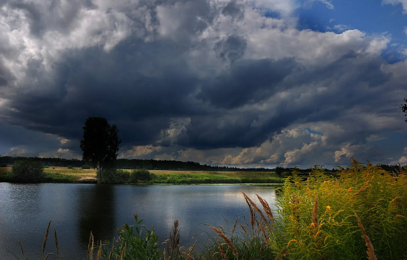 Photo wallpaper forest, the sky, clouds, trees, landscape, nature, lake, rain