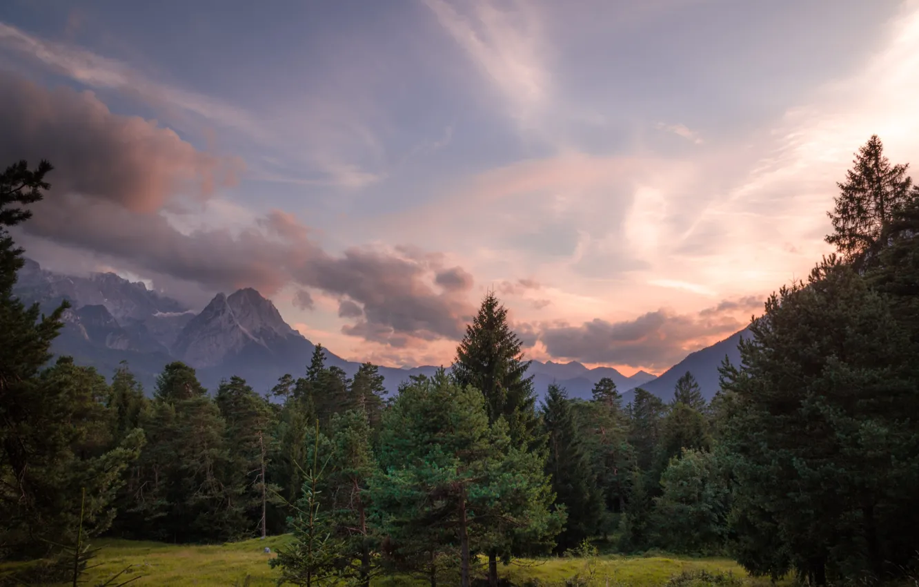 Photo wallpaper forest, the sky, clouds, trees, sunset, mountains, nature, rocks