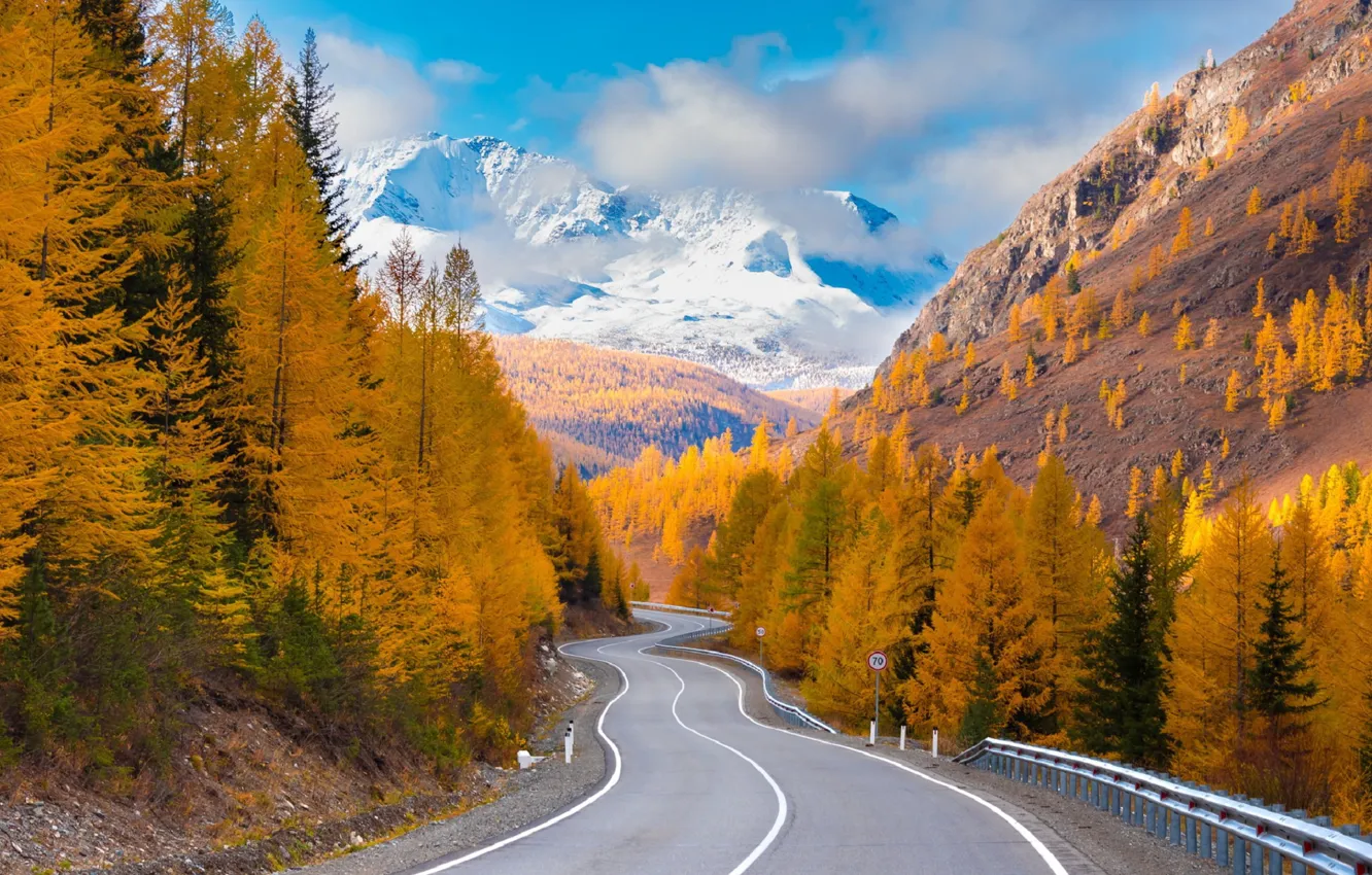 Photo wallpaper road, autumn, forest, clouds, mountains, Altay