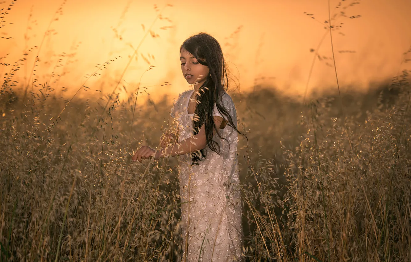 Photo wallpaper field, sunset, girl
