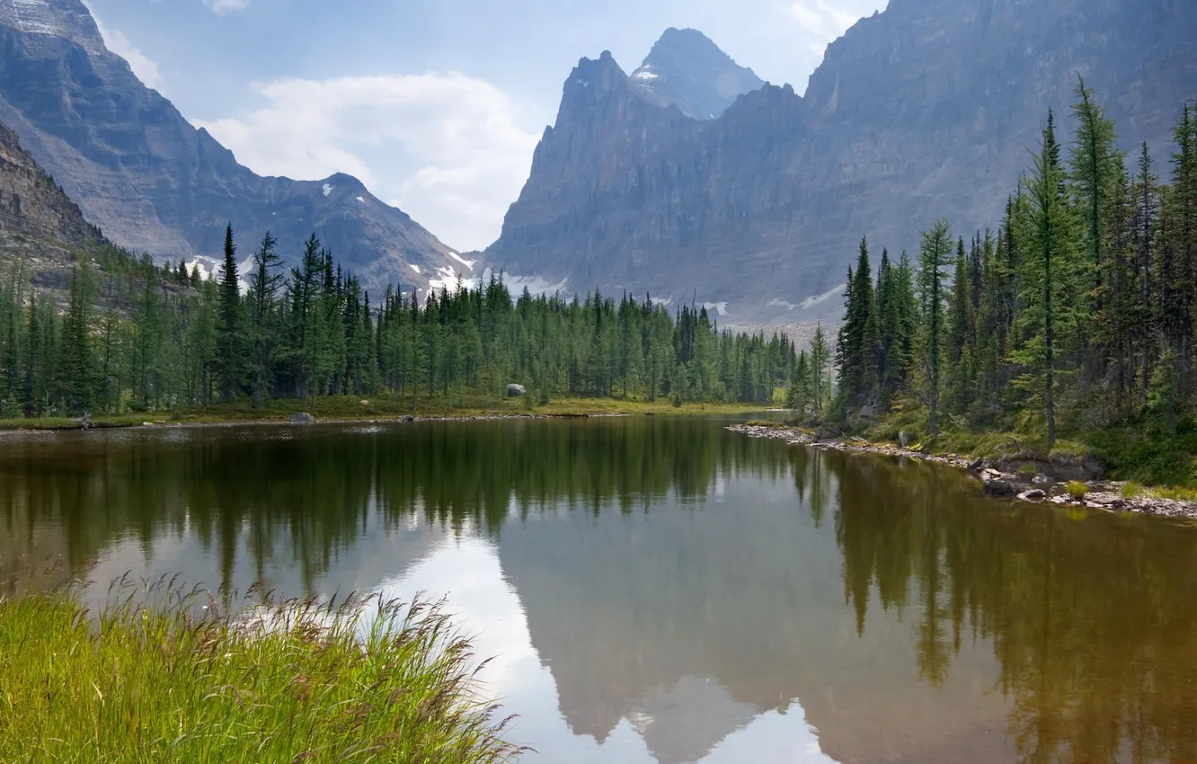 Photo wallpaper forest, mountains, nature, lake, Canada, Yoho National Park, Moor Lakes