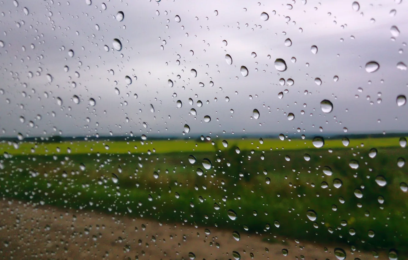 Photo wallpaper field, the sky, drops, rain, window