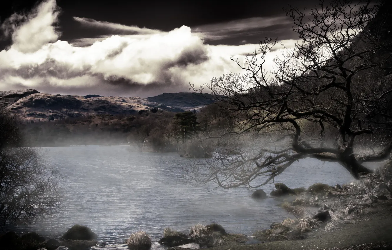 Photo wallpaper landscape, fog, lake