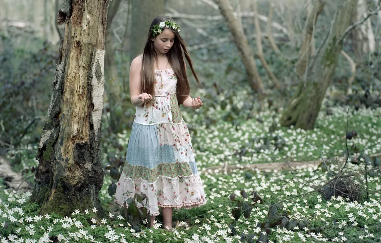 Photo wallpaper forest, girl, spring