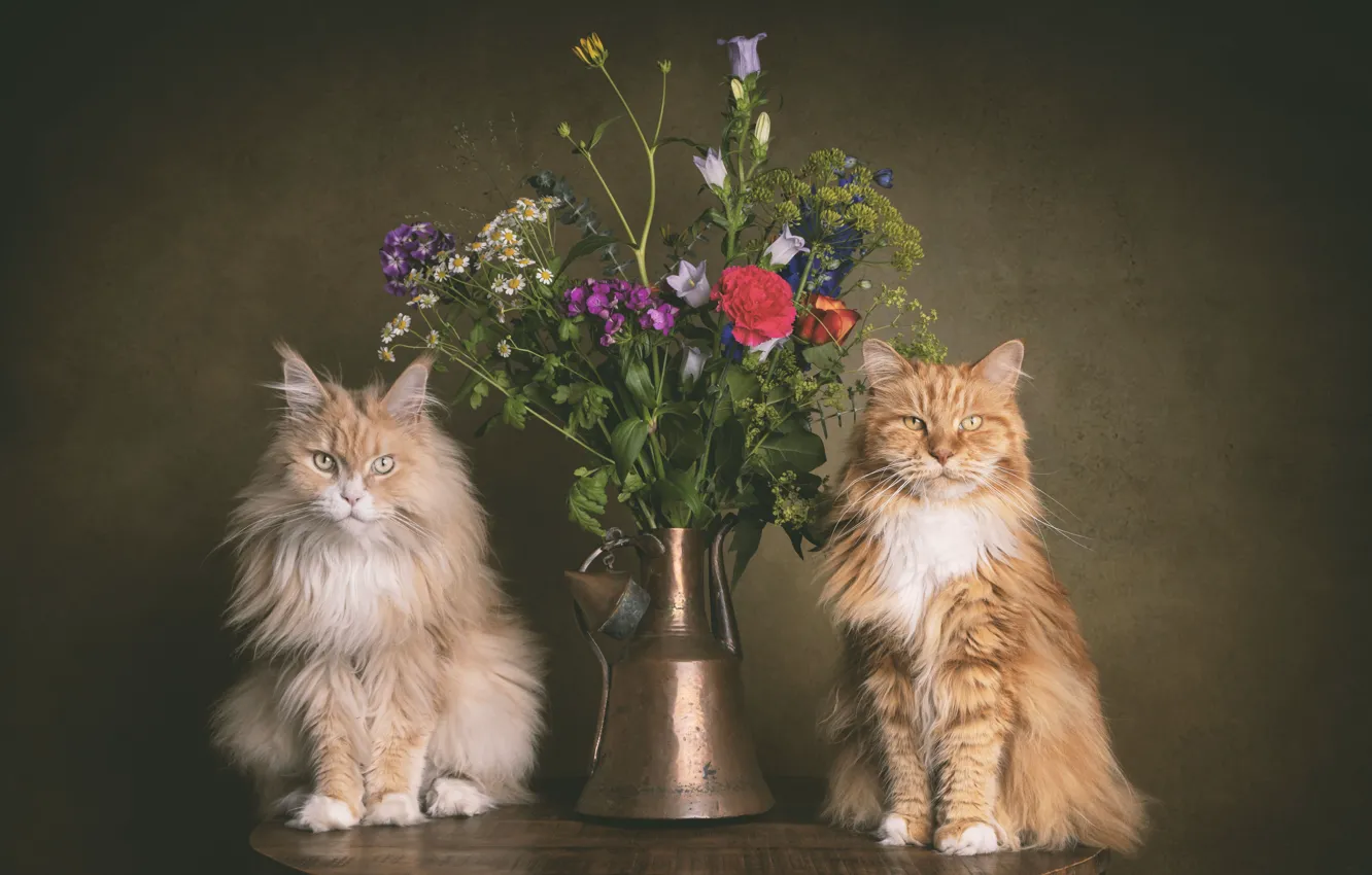 Photo wallpaper cat, cat, flowers, pair