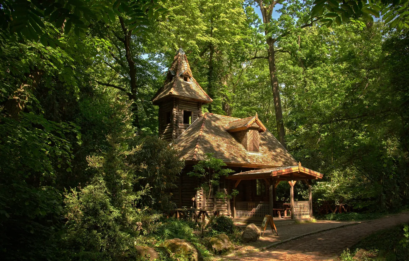 Photo wallpaper greens, forest, home